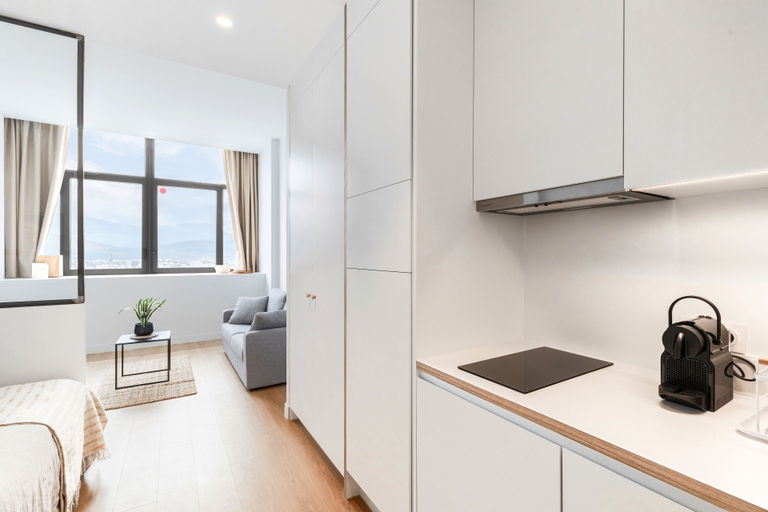 Others 5, Les Appartements de Grenoble, Isère