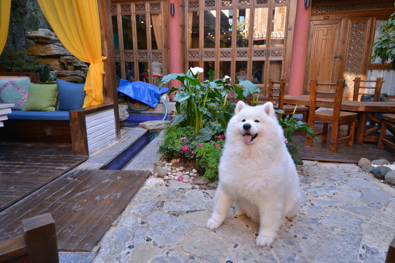 Others 3, Yishu·designer light luxury vacation B & B, Lijiang