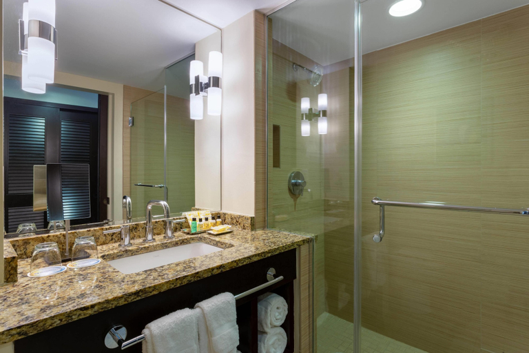 Bathroom 4, Wyndham Deerfield Beach Resort, Broward