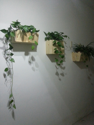 Others 5, yue lai lnn, Kaifeng