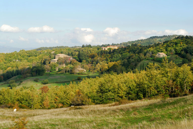 Others 3, - Agriturismo La Piaggia - 숲 뷰 그라운드 플로어 아파트먼트 2명, Siena