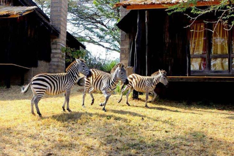 Others 5, Maralal Safari Lodge, Samburu West