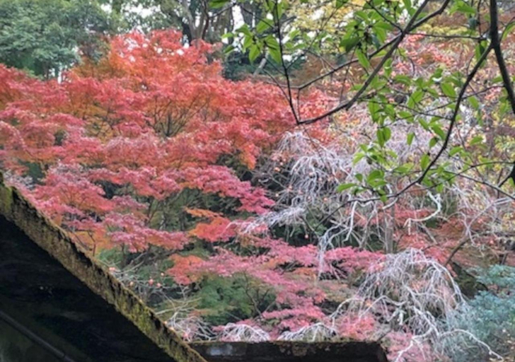 Others 5, Izuya Ryokan, Yugawara