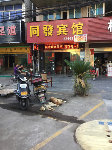 Others 5, Wuyi tongfa hotel, Jinhua