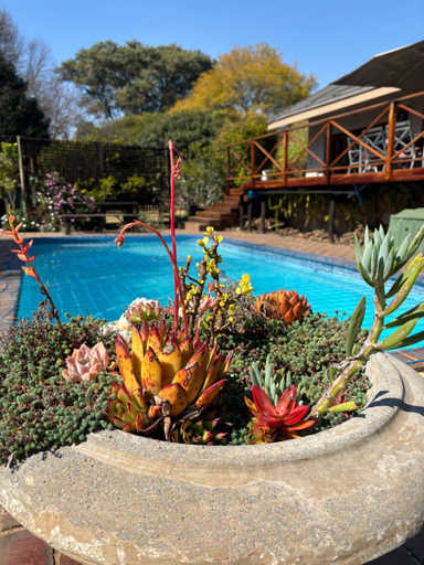 Sport & Beauty 2, Olive Branch Cottage off grid, Ekurhuleni