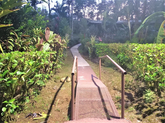 Others 5, Rio Celeste Nature View, Guatuso