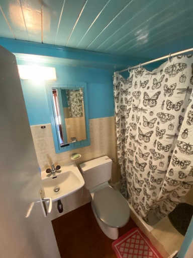 Bathroom 5, Chalet del Sole, Leventina