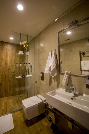 Bathroom 3, Bioli Wellness Resort, Tbilisi
