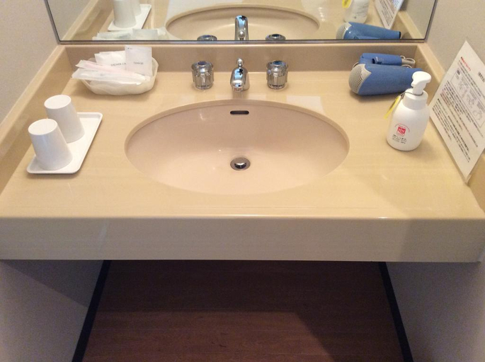Bathroom 3, Keihanna Plaza Hotel, Seika