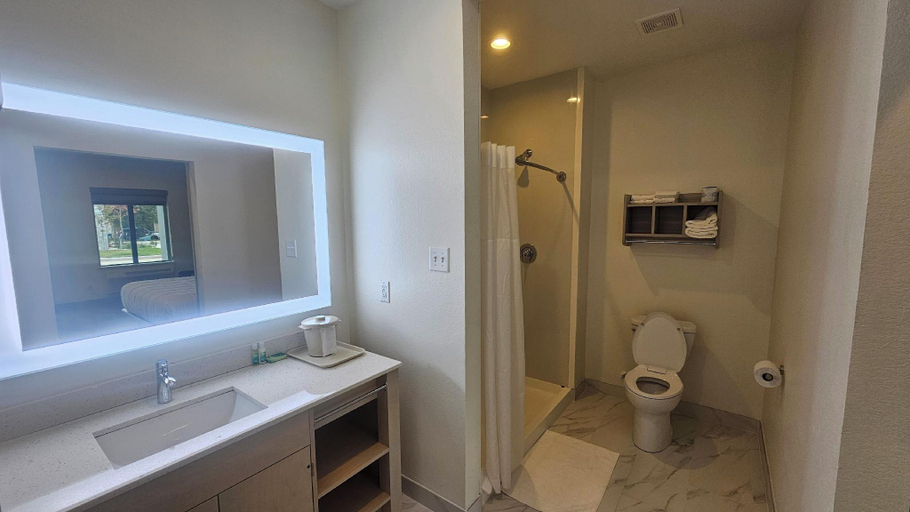 Bathroom 3, Palace Inn Baytown at Harrison St, Houston