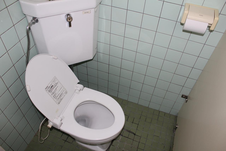 Bathroom 3, Sugakuso, Yamanakako