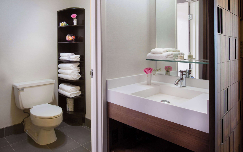 Bathroom 5, Hotel 116, A Coast Hotel Bellevue, King