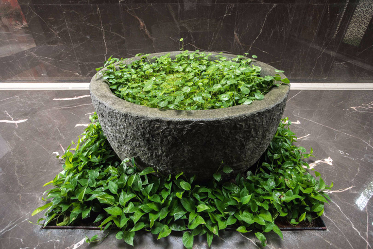 Food & Drinks 4, Jinsha Hot Spring Hotel, Lishui