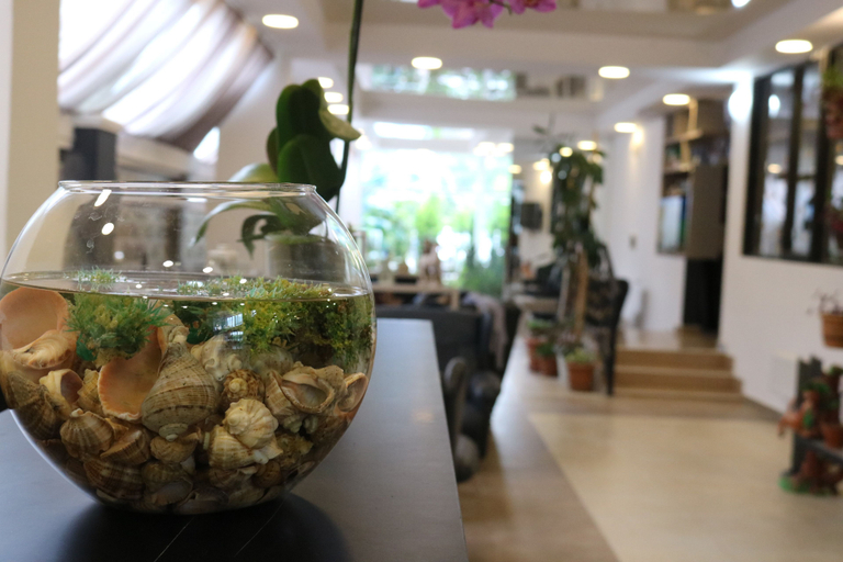 Food & Drinks 5, Seashell, Kobuleti