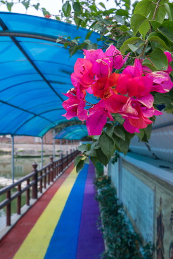 Others 4, Huigu Holiday Hotel, Yulin