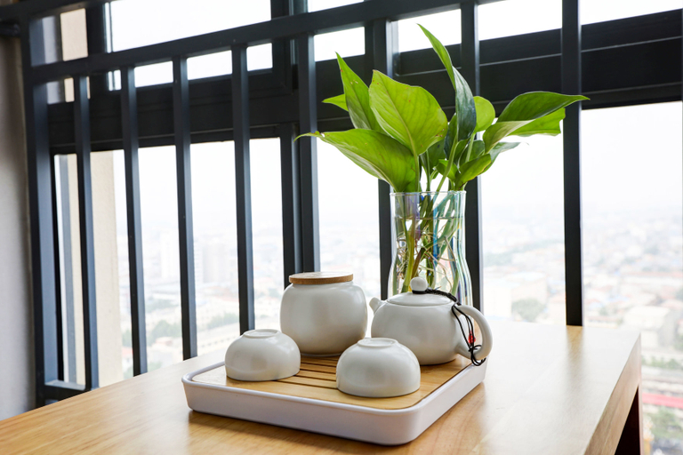 Others 5, FuGou QianNa Hotel Journey, Zhoukou