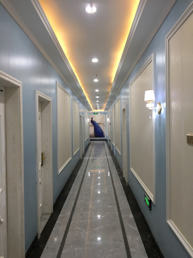 Others, Moyu Zhexian Hotel, Khotan
