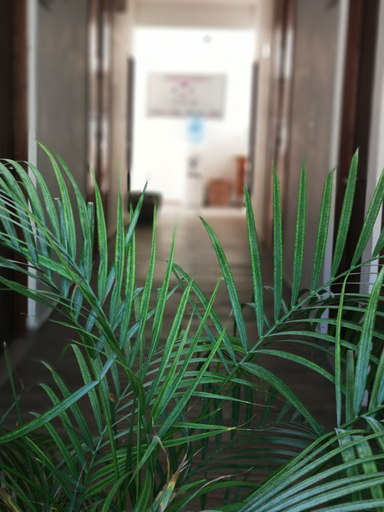 Others 5, Hotel Pelecanus Suites, Lázaro Cárdenas