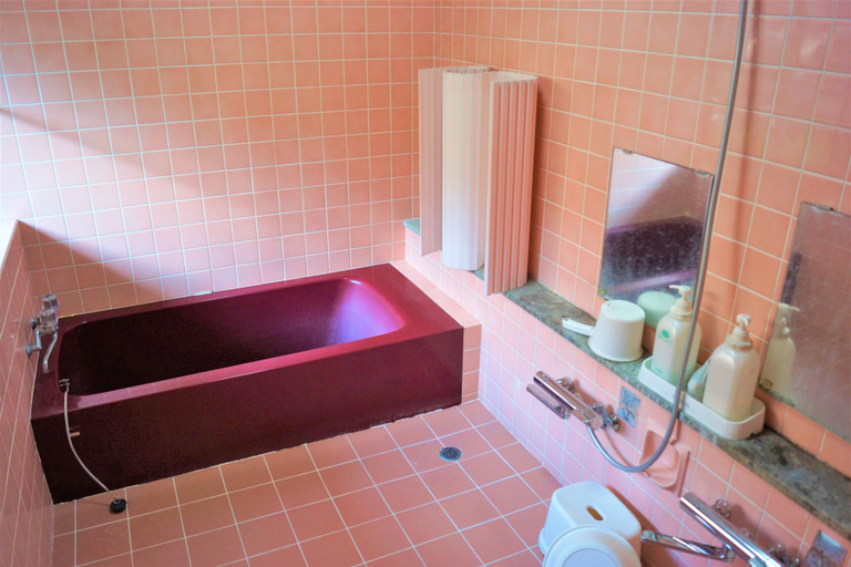 Bathroom 3, turtle house, Shimoda