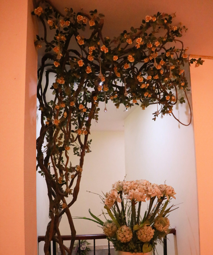 Others 3, Jin Yi Boutique Hotel, Yichun