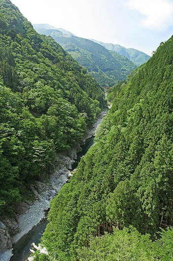 Others 5, Iyabijin, Miyoshi