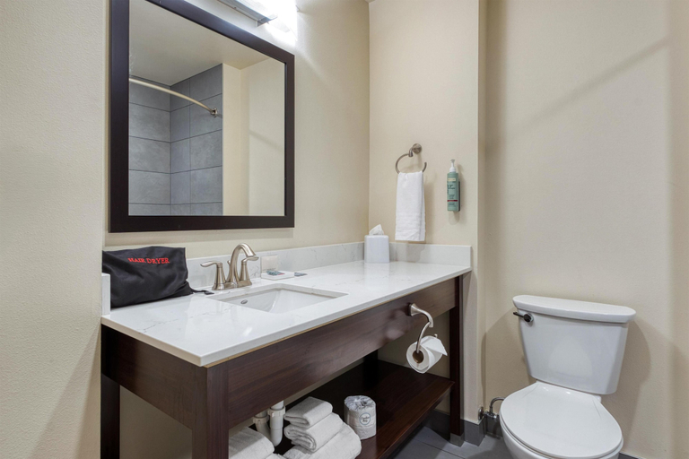 Bathroom 4, Best Western Seattle Airport Hotel, SeaTac