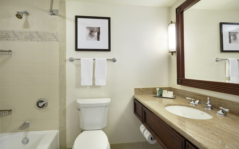 Bathroom 5, Hilton New Orleans Riverside, Orleans