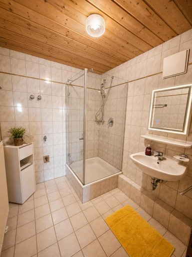Bathroom, Braunhof, Rosenheim