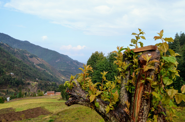 Public Area, Retreat at Damaar, Bagmati