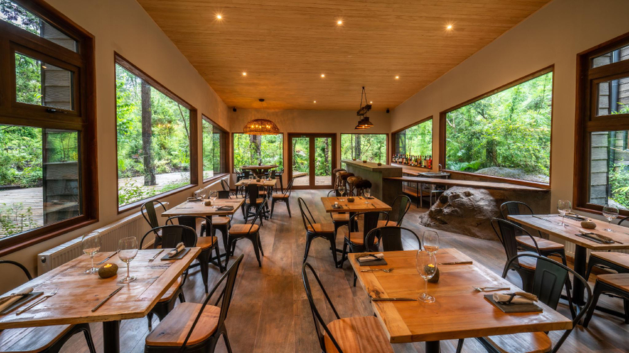 Food & Drinks, rakau lodge, Cautín
