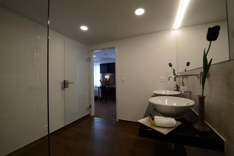 Bathroom 4, Gasthof Zum Hecht, Pfäffikon