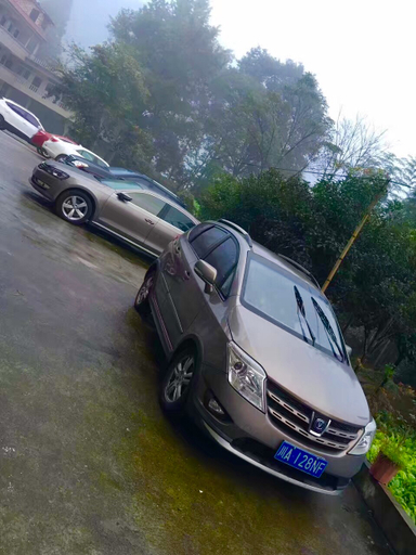 Public Area, Bifengxia Qinlanyuan, Ya'an