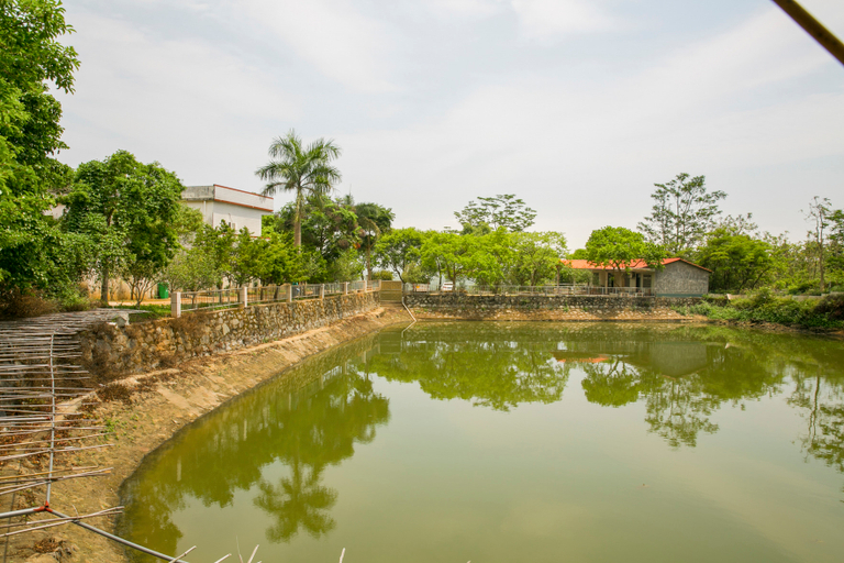 Others 3, Modong Orchard Farmstay Boluo Luofu Moutain, Huizhou