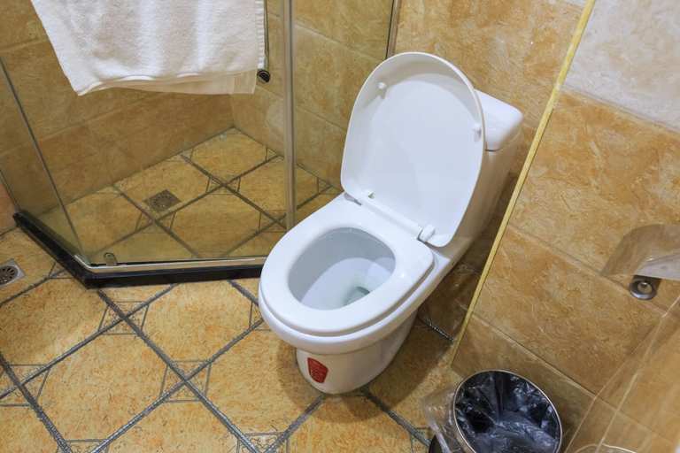 Bathroom, Qianbaidu Boutique Hotel, Liuzhou