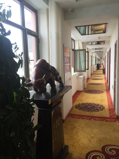 Others 5, Baodi Hotel, Aksu