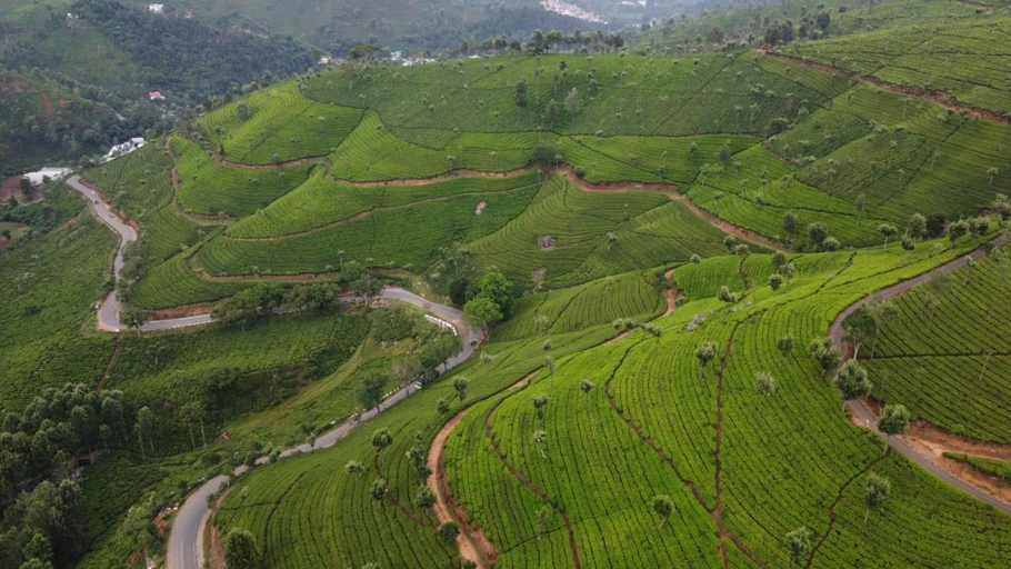 Others 5, Casa de Selas, The Nilgiris