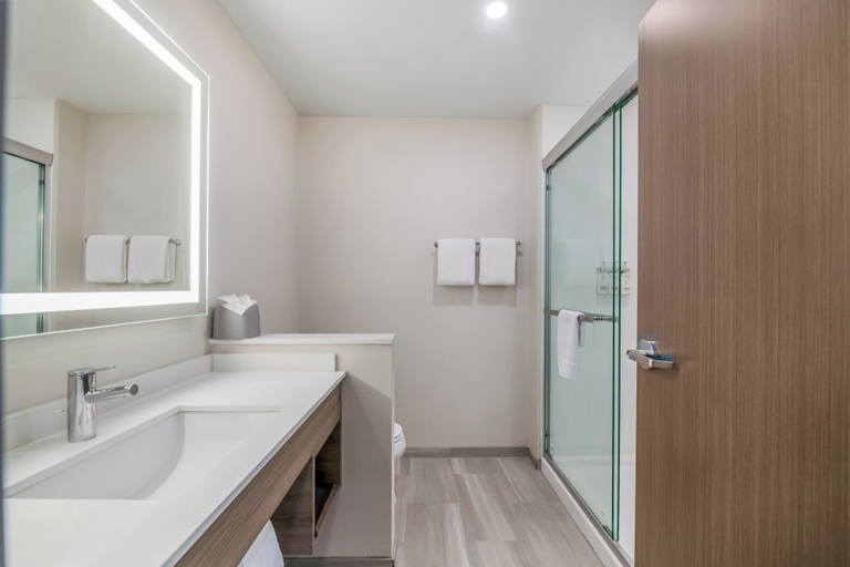 Bathroom 4, Holiday Inn Express SAVANNAH - GATEWAY, Chatham