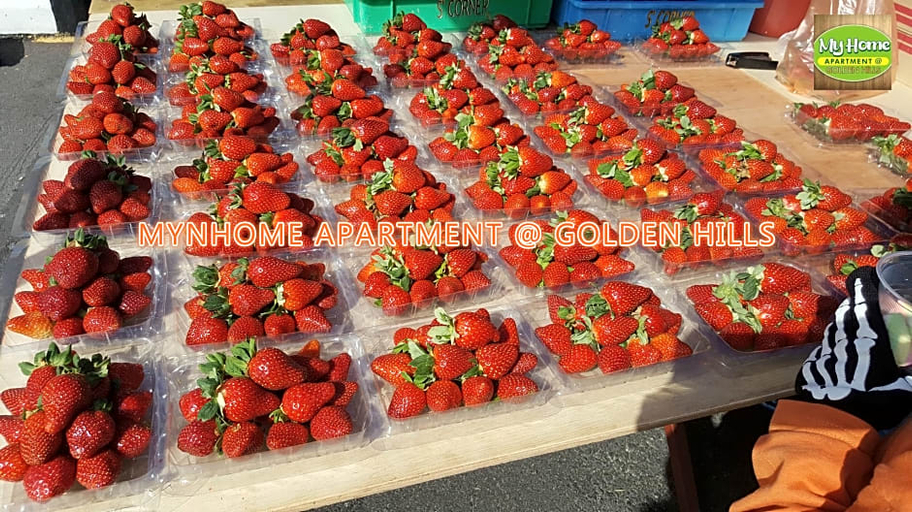 Food & Drinks 5, My Home @ Golden Hills Apartment, Cameron Highlands