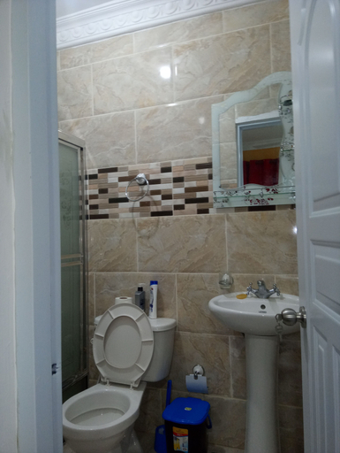 Bathroom 3, Estudio Vegano, Concepción de la Vega