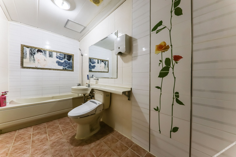 Bathroom 5, Cheongju Chojeongyaksu S, Goesan