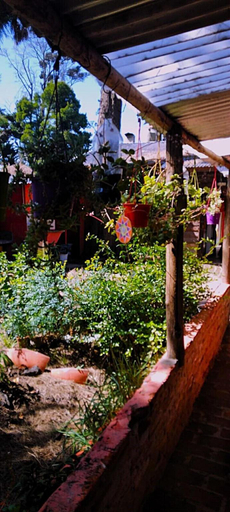 Others 5, hostel mi lugar, General Pueyrredón