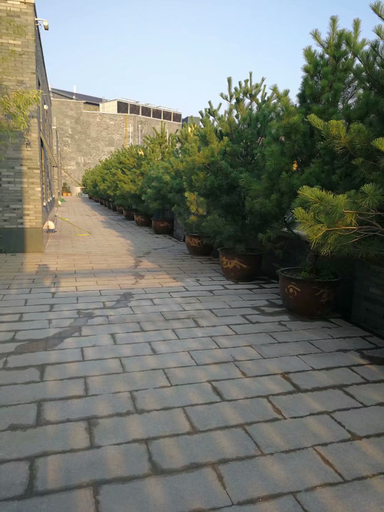 Others 5, QIYUABN, Luoyang