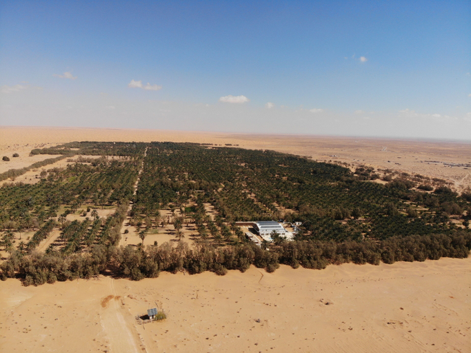 Exterior & Views 2, Ecolodge Ksar Ghilane, Douz