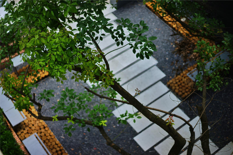 Others 5, Conglai Yard Inn (Hangzhou West Lake Scenic Area), Hangzhou