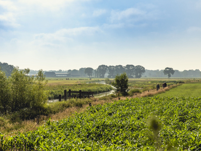 View from property 4, Safari Tent With Pool Access, Wierden