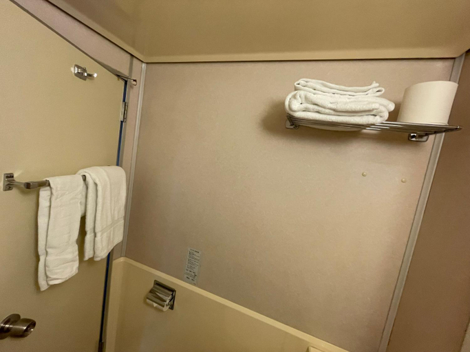 Bathroom 3, Hotel Global View Niigata, Niigata