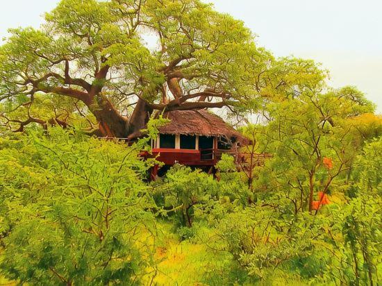 Others 3, Elewana Tarangire Treetops, Monduli