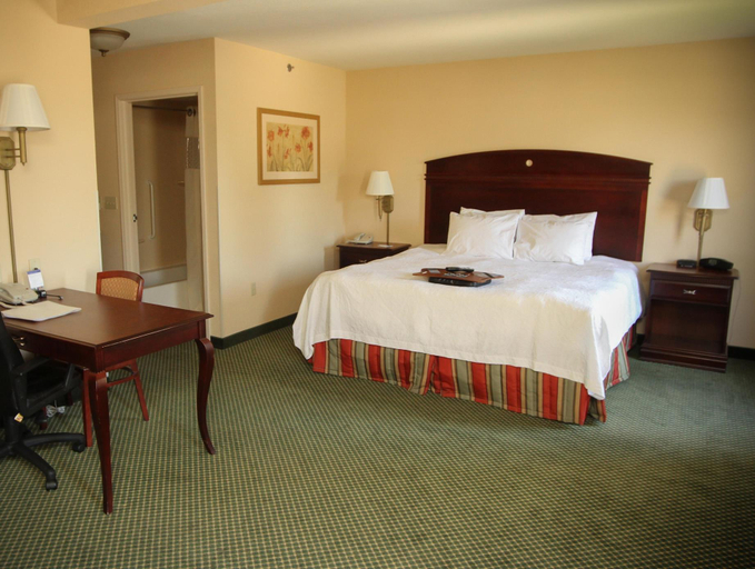 Guest Room 5, Hampton Inn Clinton Mo, Henry