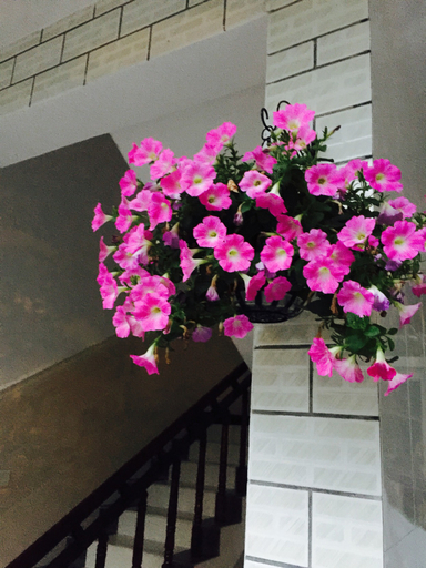 Others 3, Xinglin Shanju Inn, Chengdu