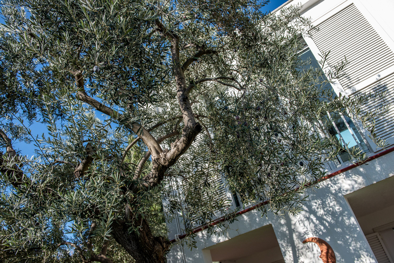 Exterior & Views, B&B Arena Sevilla, Sevilla